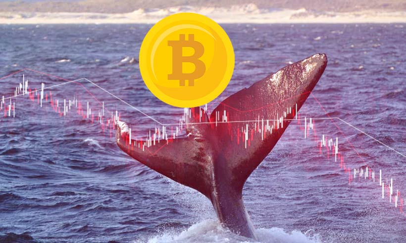 Whales' Bitcoin holdings decrease