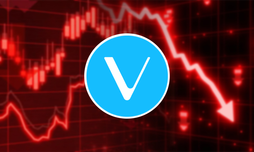 VeChain UFC
