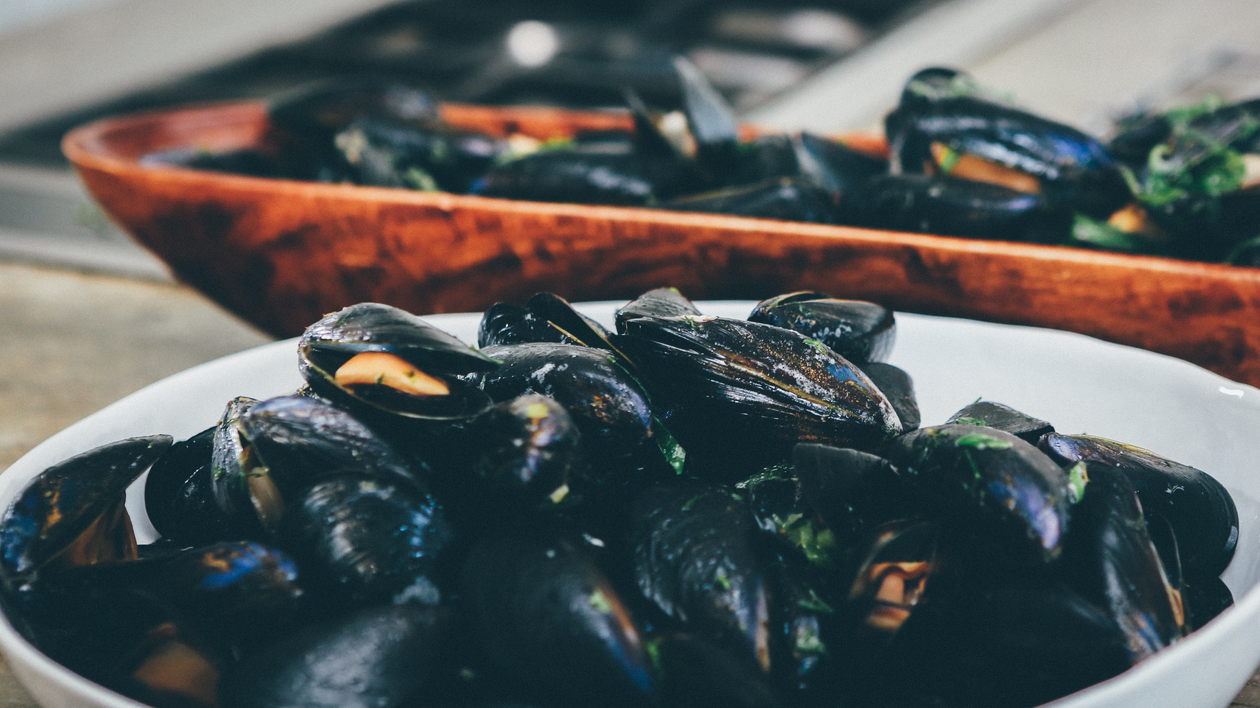 Is eating farmed mussels more sustainable than veganism? - hospitality
