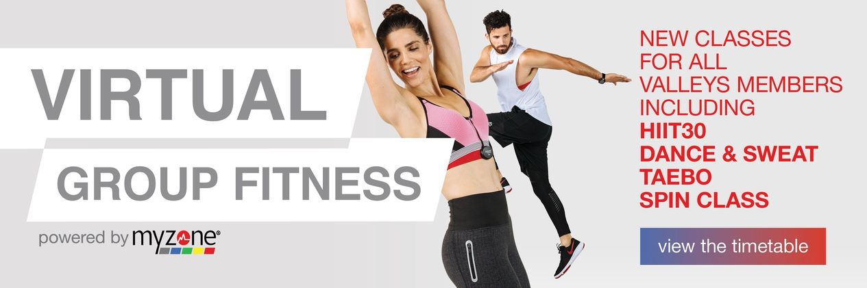 My Zone Virtual Web Banner