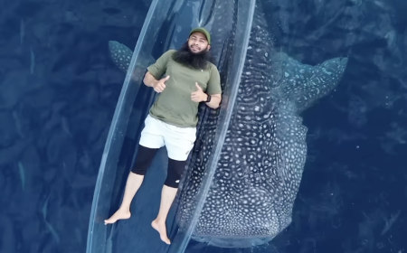 Masya Allah, Begini Ahlak Ustadz Syafiq Riza Basalamah Ketika Ditegur Aktivis Ikan Hiu Paus